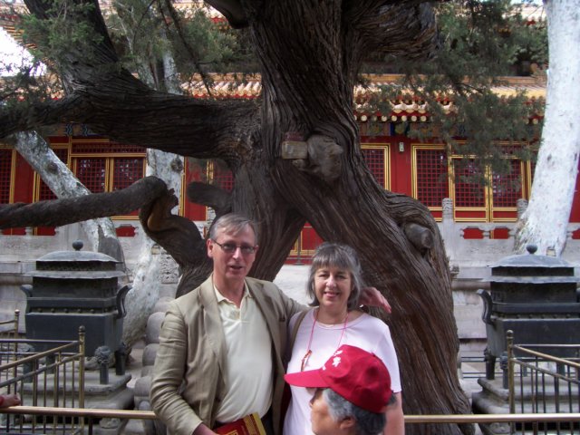 anothergoodtreeatthesummerpalace.jpg