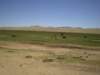 mixedgrazing_small.jpg