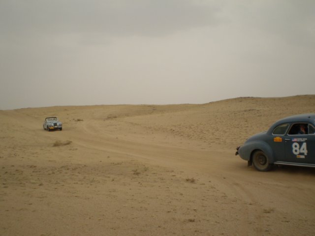suddenlyitsdesert.jpg